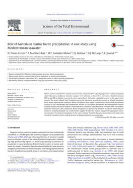 Role of Bacteria in Marine Barite Precipitation: a Case Study Using Mediterranean Seawater