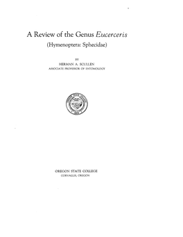 Review of the Genus Eucerceris (Hymenoptera: Sphecidae)