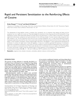 Rapid and Persistent Sensitization to the Reinforcing Effects of Cocaine