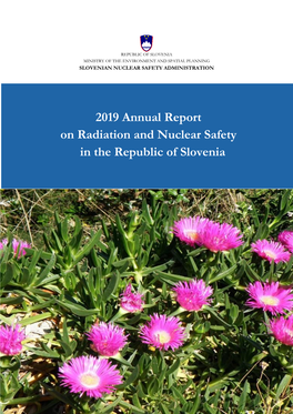 2019 Annual Report on Radiation and Nuclear Safety in the Republic of Slovenia