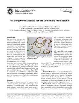 Rat Lungworm Disease for the Veterinary Professional