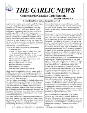 Agnews #48-P1-Some Thoughts on Curing the Garlic Harvest.Compressed