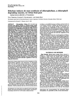 Ethylene Induces De Novo Synthesis of Chlorophyllase, a Chlorophyll