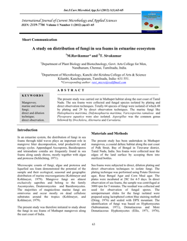 A Study on Distribution of Fungi in Sea Foams in Estuarine Ecosystem 1M.Ravikumar* and 2T