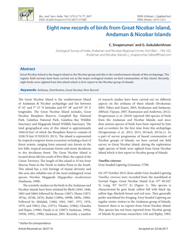 Eight New Records of Birds from Great Nicobar Island, Andaman & Nicobar Islands