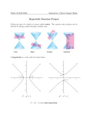 Cheryl Jaeger Balm Hyperbolic Function Project