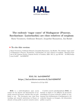 Of Madagascar (Poaceae, Saccharinae: Lasiorhachis) Are Close Relatives of Sorghum Maria Vorontsova, Guillaume Besnard, Jacqueline Razanatsoa, Jan Hackel