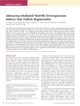 Adenovirus-Mediated Wnt10b Overexpression Induces Hair