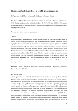 Filamentous Bacteria Existence in Aerobic Granular Reactors