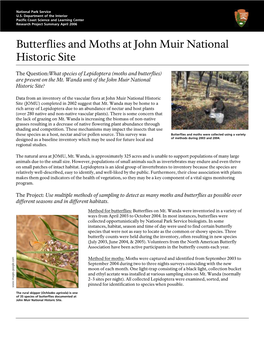 Butterflies and Moths at John Muir National Historic Site