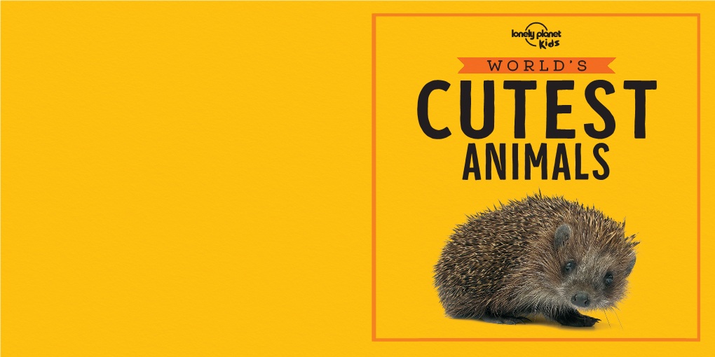 Worlds Cutest Animals 1 Preview