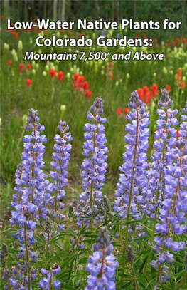 Low-Water Native Plants for Colorado Gardens: Mountains 7,500’ and Above