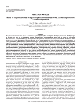 RESEARCH ARTICLE Roles of Biogenic Amines in Regulating Bioluminescence in the Australian Glowworm Arachnocampa Flava
