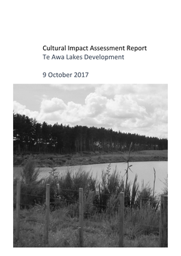 Cultural Impact Assessment Report Te Awa Lakes Development