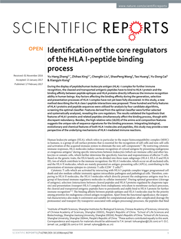Identification of the Core Regulators of the HLA I-Peptide Binding Process