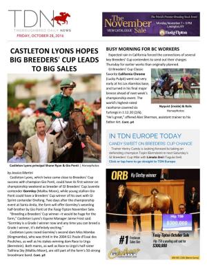 Castleton Lyons Hopes Big Breeders= Cup Leads to Big Sales