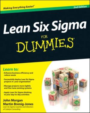 Lean Six Sigma for Dummies‰
