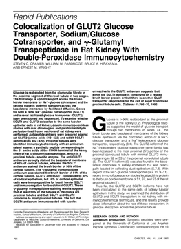Colocalization of GLUT2 Glucose Transporter, Sodium/Glucose