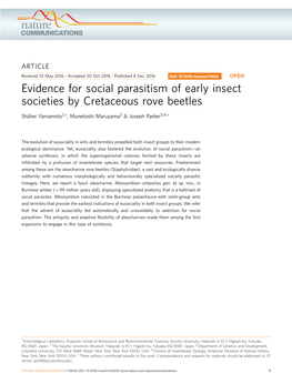 Evidence for Social Parasitism of Early Insect Societies by Cretaceous Rove Beetles
