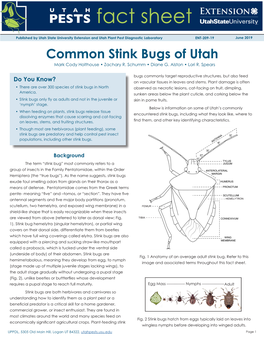 Common Stink Bugs of Utah