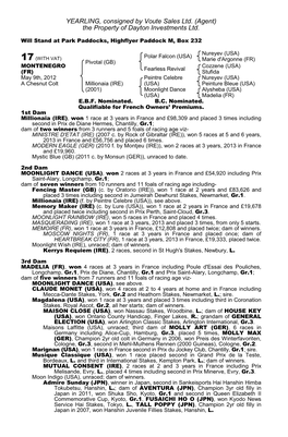 YEARLING, Consigned by Voute Sales Ltd. (Agent) the Property of Dayton Investments Ltd