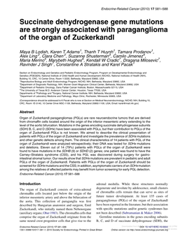 Succinate Dehydrogenase Gene Mutations Are Strongly Associated with Paraganglioma of the Organ of Zuckerkandl