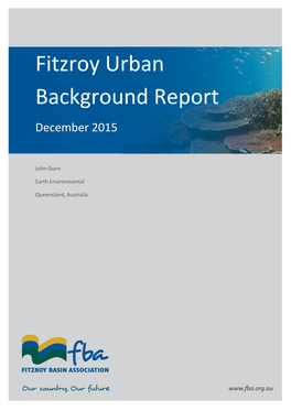 Urban Background Report December 2015