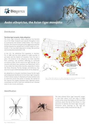 Aedes Albopictus, the Asian Tiger Mosquito