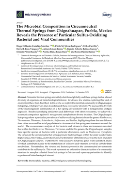 The Microbial Composition in Circumneutral Thermal Springs