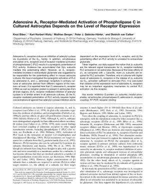 Adenosine A1 Receptor-Mediated Activation of Phospholipase C in Cultured Astrocytes Depends on the Level of Receptor Expression