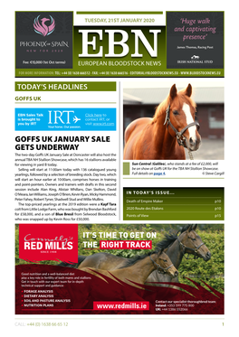 Goffs Uk January Sale Gets Underway