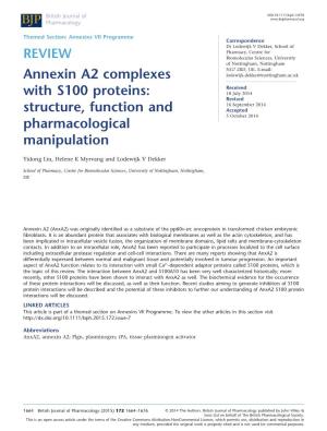 Annexin A2 Complexes with S100 Proteins