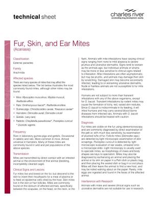 Fur, Skin, and Ear Mites (Acariasis)