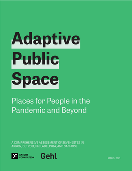 Adaptive Public Space: Places for People in the Pandemic and Beyond Download