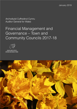 Financial Management and Governance – Town