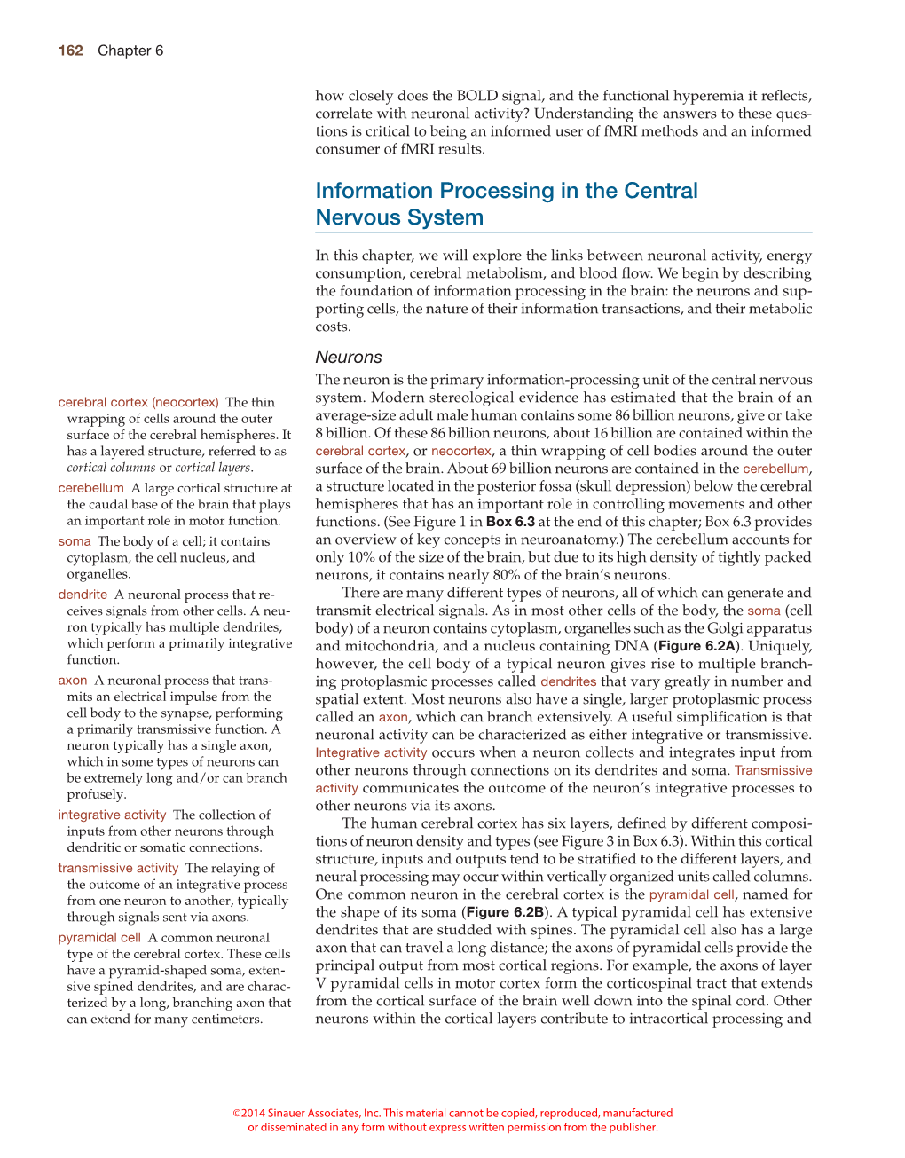 Information Processing in the Central Nervous System
