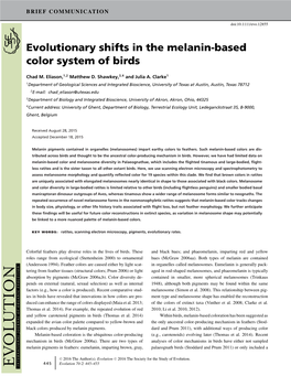 Evolutionary Shifts in the Melanin-Based Color System of Birds