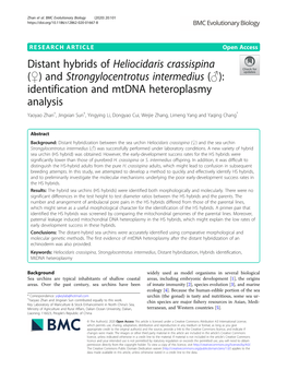 Distant Hybrids of Heliocidaris Crassispina ( ) And