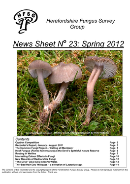 News Sheet No 23: Spring 2012