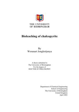Bioleaching of Chalcopyrite