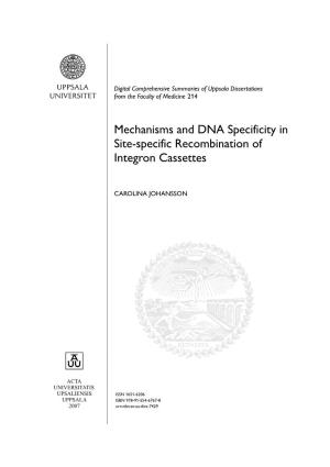 Mechanisms and DNA Specificity in Site-Specific Recombination of Integron Cassettes