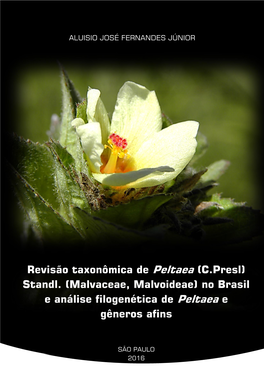 Revisão Taxonômica De Peltaea (C.Presl) Standl. (Malvaceae, Malvoideae) No Brasil E Análise Filogenética De Peltaea E Gêneros Afins