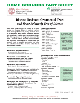 Disease Resistant Ornamental Trees