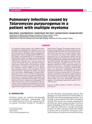 Pulmonary Infection Caused by Talaromyces Purpurogenus in a Patient with Multiple Myeloma