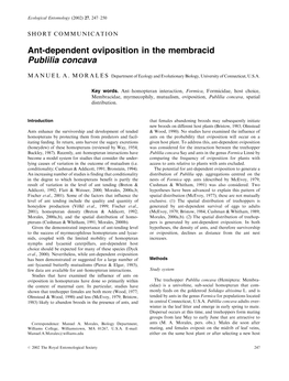 Ant-Dependent Oviposition in the Membracid Publilia Concava