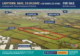 LADYTOWN, NAAS, CO.KILDARE C.58 ACRES (23.47HA) for SALE Landbank with Future Development Potential by Public Auction