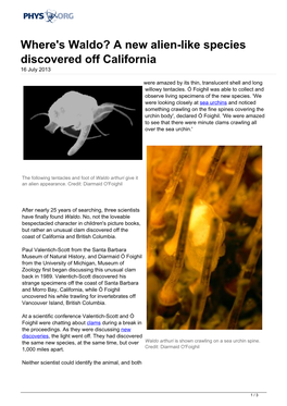 Where's Waldo? a New Alien-Like Species Discovered Off California 16 July 2013