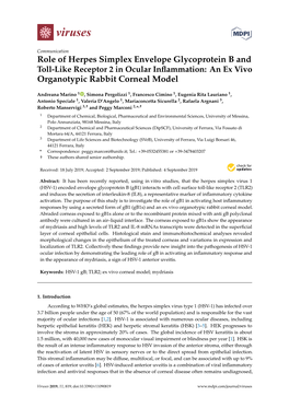 Role of Herpes Simplex Envelope Glycoprotein B and Toll-Like Receptor 2 in Ocular Inflammation: an Ex Vivo Organotypic Rabbit Corneal Model