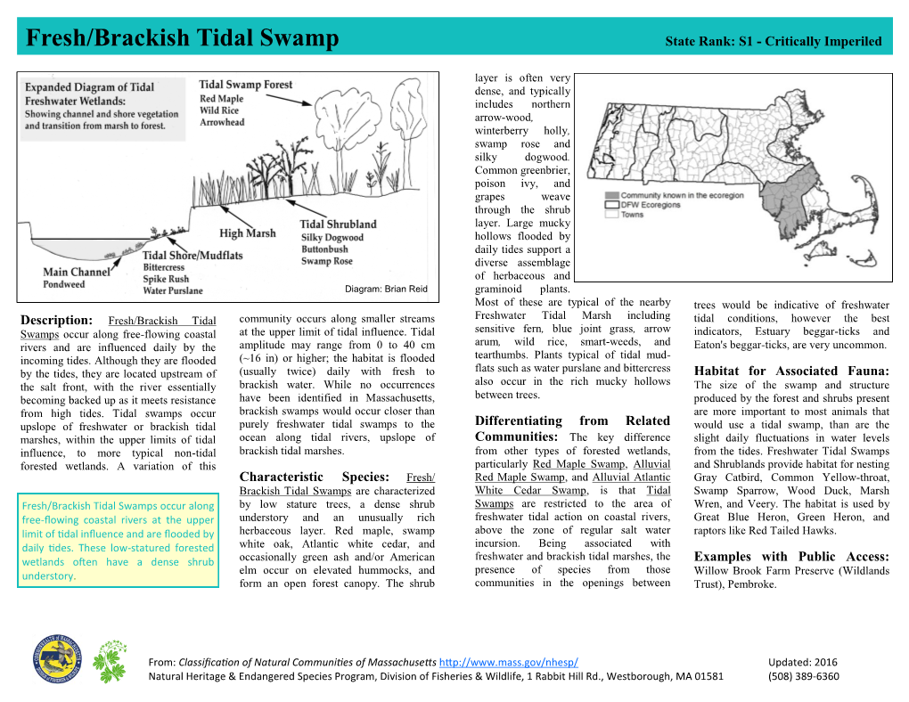 Fresh/Brackish Tidal Swamp State Rank: S1 - Critically Imperiled