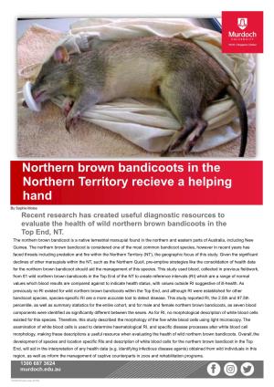 Northen Brown Bandicoots in the NT Receive a Helping Hand Sophie
